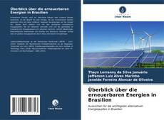 Buchcover von Überblick über die erneuerbaren Energien in Brasilien