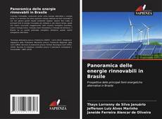 Portada del libro de Panoramica delle energie rinnovabili in Brasile