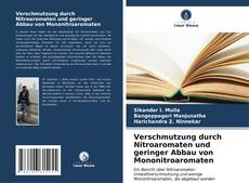 Capa do livro de Verschmutzung durch Nitroaromaten und geringer Abbau von Mononitroaromaten 