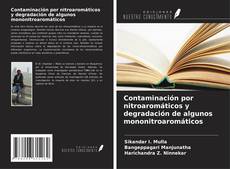 Copertina di Contaminación por nitroaromáticos y degradación de algunos mononitroaromáticos