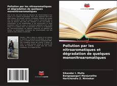 Borítókép a  Pollution par les nitroaromatiques et dégradation de quelques mononitroaromatiques - hoz