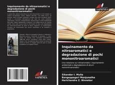 Bookcover of Inquinamento da nitroaromatici e degradazione di pochi mononitroaromatici