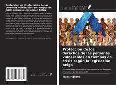Buchcover von Protección de los derechos de las personas vulnerables en tiempos de crisis según la legislación belga