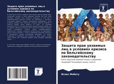 Portada del libro de Защита прав уязвимых лиц в условиях кризиса по бельгийскому законодательству