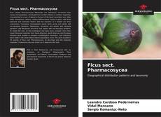 Buchcover von Ficus sect. Pharmacosycea