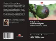 Portada del libro de Ficus sect. Pharmacosycea