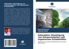 Portada del libro de Adsorption: Beseitigung von Schwermetallen und organischen Schadstoffen