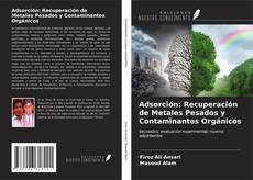 Capa do livro de Adsorción: Recuperación de Metales Pesados y Contaminantes Orgánicos 