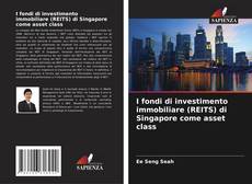 I fondi di investimento immobiliare (REITS) di Singapore come asset class kitap kapağı