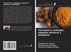 Bookcover of Curcumina y análogos: aspectos químicos y biológicos