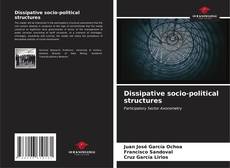 Dissipative socio-political structures kitap kapağı