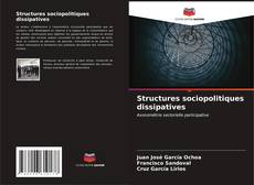 Structures sociopolitiques dissipatives的封面