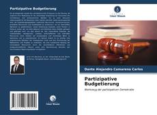 Partizipative Budgetierung kitap kapağı