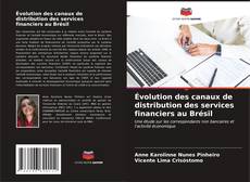 Capa do livro de Évolution des canaux de distribution des services financiers au Brésil 