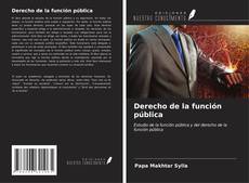 Bookcover of Derecho de la función pública