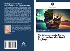 Bookcover of Niedrigwasserstudie im Einzugsgebiet des Oued Réghaya