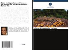 Capa do livro de Sozio-ökologische Auswirkungen der Einführung des Kiefernanbaus - Canela RS 