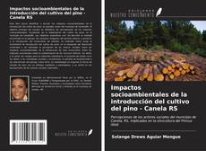 Portada del libro de Impactos socioambientales de la introducción del cultivo del pino - Canela RS