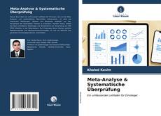 Meta-Analyse & Systematische Überprüfung kitap kapağı