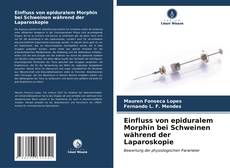 Buchcover von Einfluss von epiduralem Morphin bei Schweinen während der Laparoskopie