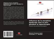 Bookcover of Influence de la morphine épidurale chez le porc pendant la laparoscopie