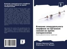 Bookcover of Влияние эпидурального морфина на организм свиней во время лапароскопии