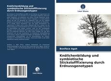 Capa do livro de Knöllchenbildung und symbiotische Stickstofffixierung durch Erdnussgenotypen 