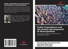 Buchcover von Public Expenditure and the Human Development of Municipalities