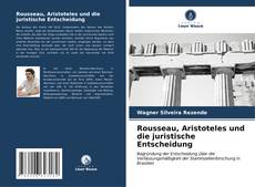 Rousseau, Aristoteles und die juristische Entscheidung kitap kapağı