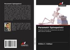 Bookcover of Parametri Spinopelvici