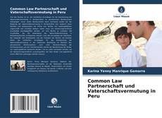 Capa do livro de Common Law Partnerschaft und Vaterschaftsvermutung in Peru 