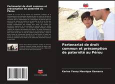 Bookcover of Partenariat de droit commun et présomption de paternité au Pérou