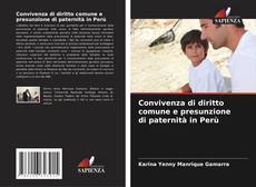 Capa do livro de Convivenza di diritto comune e presunzione di paternità in Perù 