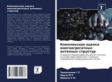 Buchcover von Комплексная оценка многоагрегатных антенных структур