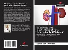 Buchcover von Etiopathogenic mechanisms of renal failure due to C-V drugs