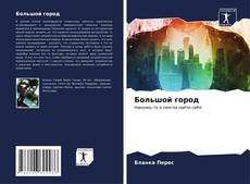 Capa do livro de Большой город 