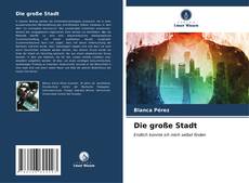 Bookcover of Die große Stadt