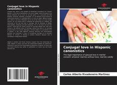 Buchcover von Conjugal love in Hispanic canonistics