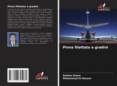 Buchcover von Pinna filettata a gradini