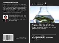 Producción de biodiésel的封面