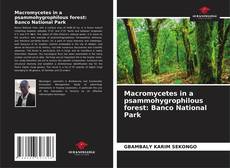 Couverture de Macromycetes in a psammohygrophilous forest: Banco National Park