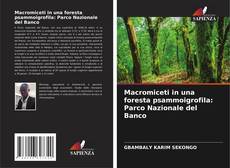 Bookcover of Macromiceti in una foresta psammoigrofila: Parco Nazionale del Banco
