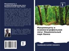 Обложка Макромицеты в псаммогигрофильном лесу: Национальный парк Банко