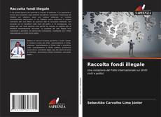 Borítókép a  Raccolta fondi illegale - hoz