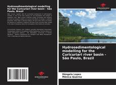 Capa do livro de Hydrosedimentological modelling for the Curicuriari river basin - São Paulo, Brazil 