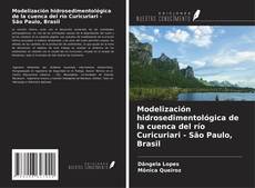 Couverture de Modelización hidrosedimentológica de la cuenca del río Curicuriari - São Paulo, Brasil