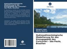 Hydrosedimentologische Modellierung für das Einzugsgebiet des Curicuriari - São Paulo, Brasilien的封面