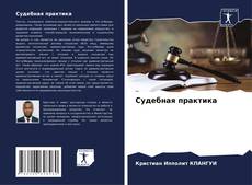 Bookcover of Судебная практика