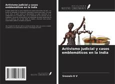 Buchcover von Activismo judicial y casos emblemáticos en la India