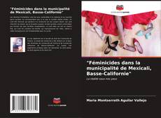 Portada del libro de "Féminicides dans la municipalité de Mexicali, Basse-Californie"
